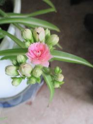 EIMG_8218