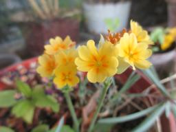 EIMG_8221