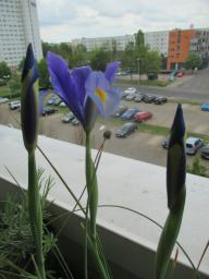 EIMG_8222