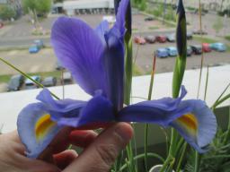 EIMG_8224