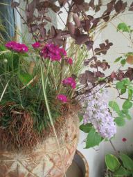 EIMG_8225