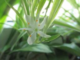 EIMG_8227