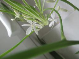 EIMG_8230