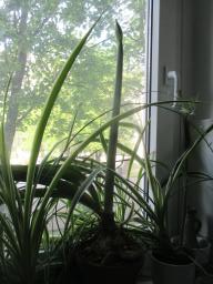 EIMG_8233