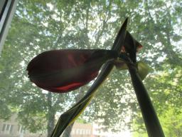 EIMG_8234
