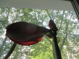 EIMG_8235
