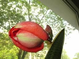 EIMG_8236