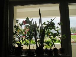 EIMG_8237