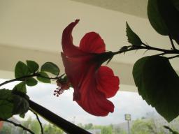 EIMG_8238