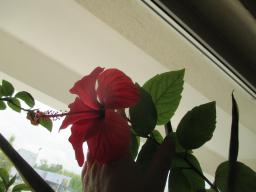 EIMG_8241