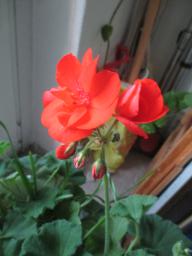 EIMG_8253