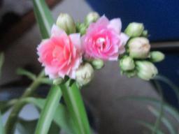 EIMG_8256