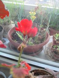 EIMG_8257