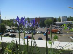 EIMG_8296