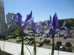 EIMG_8297
