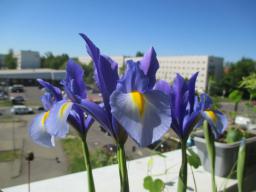 EIMG_8298