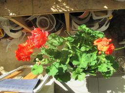 EIMG_8306