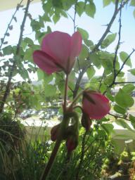 EIMG_8310