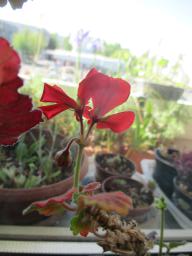 EIMG_8311