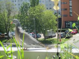 EIMG_8313