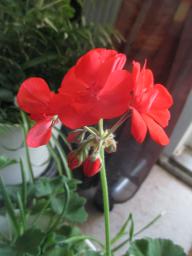 EIMG_8314