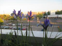 EIMG_8316