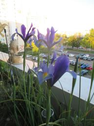 EIMG_8317