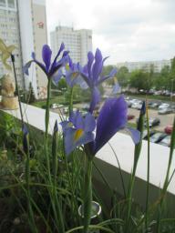 EIMG_8318
