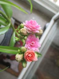 EIMG_8321