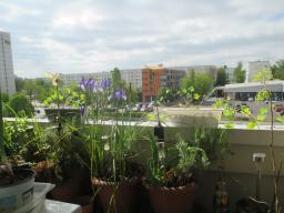 EIMG_8322
