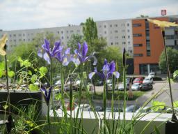 EIMG_8323
