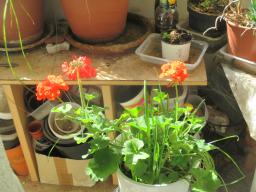 EIMG_8324