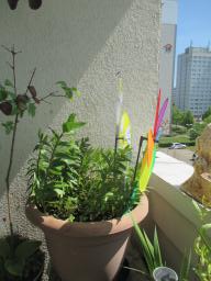 EIMG_8327