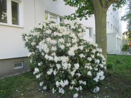 EIMG_8329