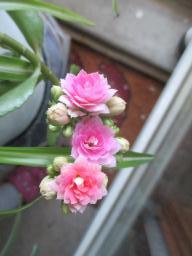 EIMG_8332