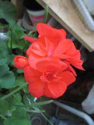 EIMG_8333