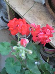 EIMG_8334