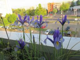 EIMG_8335