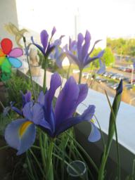 EIMG_8336