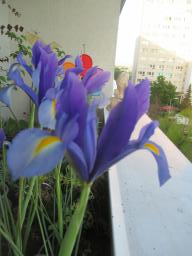 EIMG_8337