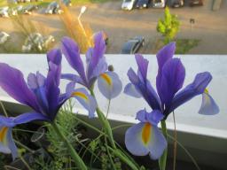 EIMG_8338