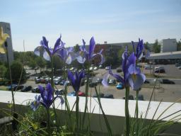EIMG_8343