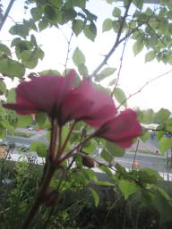 EIMG_8357