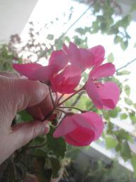 EIMG_8358