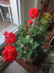 EIMG_8359