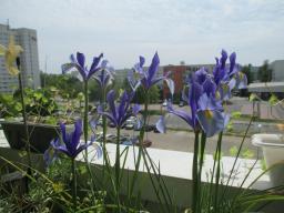 EIMG_8360