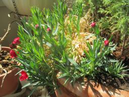 EIMG_8361
