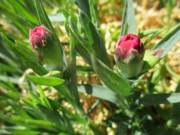 EIMG_8362