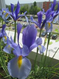 EIMG_8363