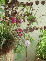 EIMG_8364